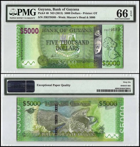 Guyana 5,000 Dollars, 2013, P-40, PMG 66