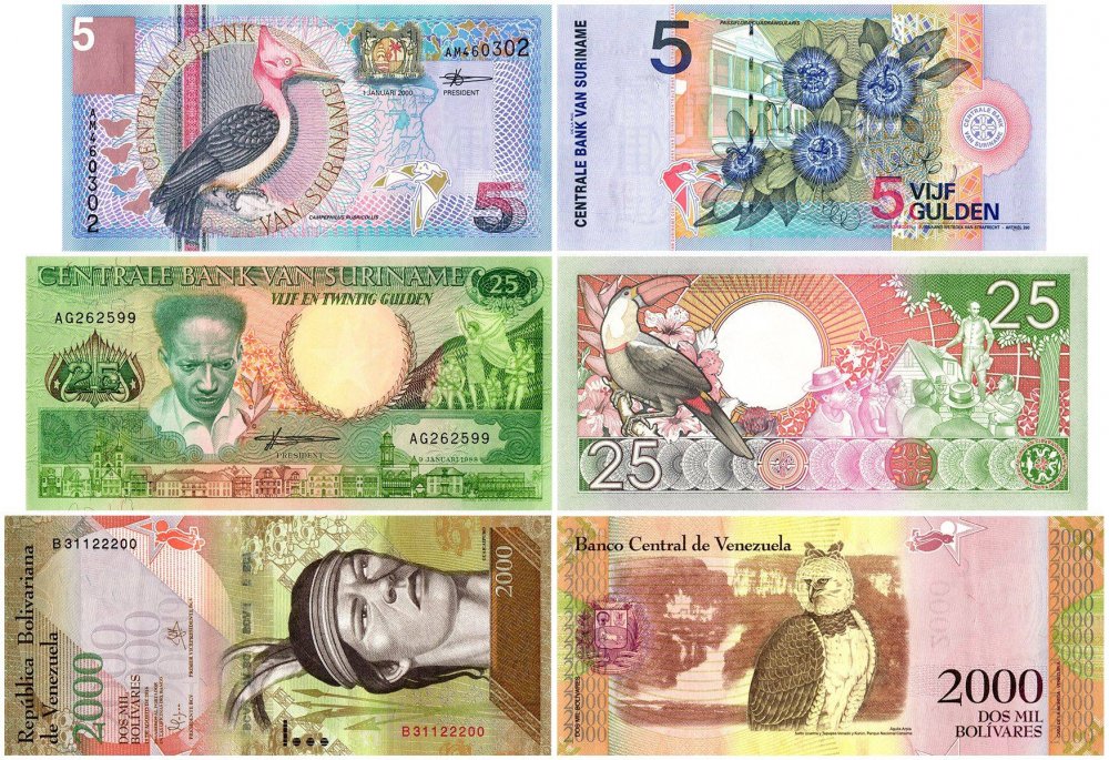 BANKNOTESコレクション① 23枚 Birds of Paradise Collection, 29 Piece Banknote Set, UNC