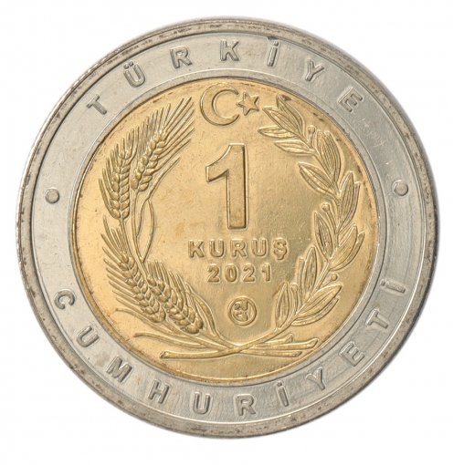 Turkey 1 Kurus Coin, 2021, N #284488, Mint, Commemorative, Canine Issue
