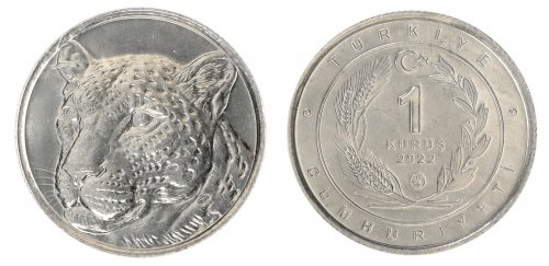 Turkey 1 Kurus Coin, 2022, N #358369, Mint, w/ Leopard Card Holder