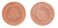 United Arab Emirates - UAE 5 Fils 2.2g Bronze Coin, 2014, KM # 2.2, Mint