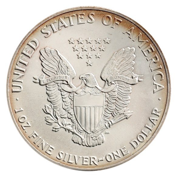 1 oz 1991 American Eagle Varied Toning Silver Coin - United States